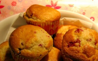 Amerikanske muffins